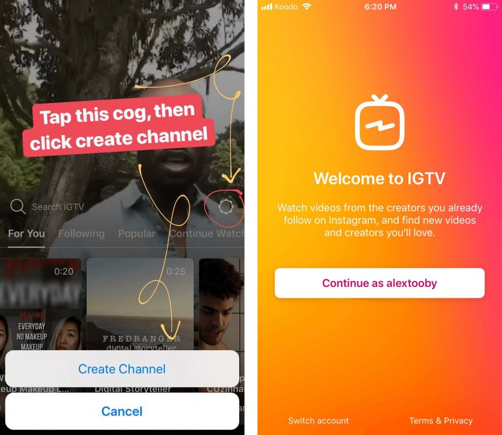 IGTV ADS